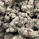 Acapulco Gold AAA