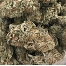 Acapulco Gold (A+)
