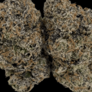 Kosher Kush OG (Ultra Designer)
