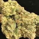 INDOOR Bruce Banner