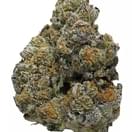 Monster cookie INDOOR