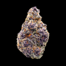 Granddaddy Purple