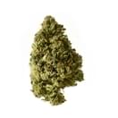 Chocolate Chunk (Top Shelf)
