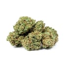 Apple Fritter (TOP SHELF)