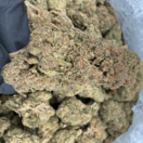 Tangie +A (Sativa)