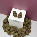 LA Confidential-Exotic A+