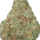 AMNESIA HAZE (TOPSHELF)