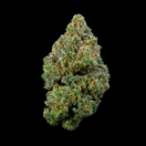 Jack Herer