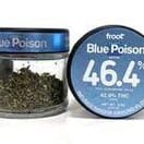 Froot Infused Flower Blue Poison