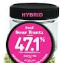 Froot Infused Flower Sour Runtz