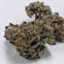GMO Cookies