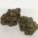 Grape Spodie (H) by Green Man