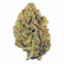 Lilac Diesel