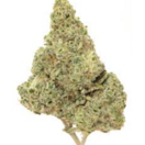 Lime  OG