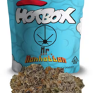 MR. MANHATTAN (3.5G)