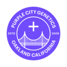 PCG Saltwater OG Autoflowering Fem. 3pk Seeds