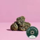 Pink Kush PSF 3.5g