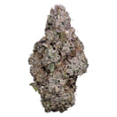 PORTO LECHE | 3.5g