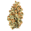 Red Headed Stranger