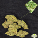 South Park Farma Kush
