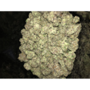 Tangie