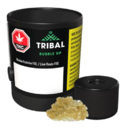 Tribal - Bubble Up Live Resin 1x1g >I