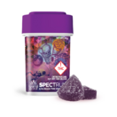 Wana Fast Acting Rosin Gummies | Berry Gelato 100mg Rec