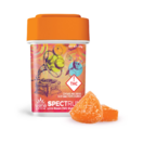 Wana Fast Acting Rosin Gummies | Citrus Sorbet 100mg Rec
