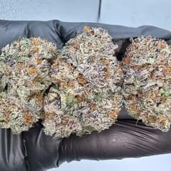 Sour Strawberry Kush