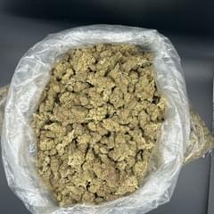 Black cherry gelato TS