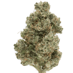 Ghost Train Haze (Sativa)