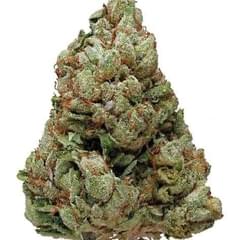 Presidential Kush (TOP SHELF)