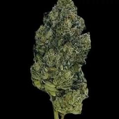 Sky Walker OG (TOP SHELF)