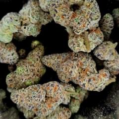 DANTES WRATH (DESIGNER)