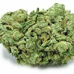 HARDCORE OG - 5 GRAMS