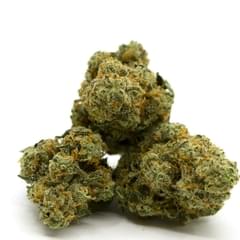 Washington Apple (Top Shelf)