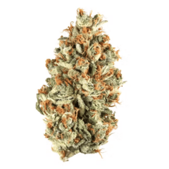 Snoop Dogg OG (Topshelf)