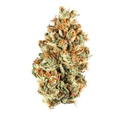 Orange daiquri ( Top shelf )