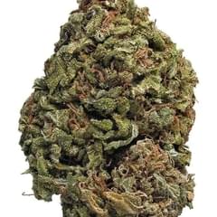 ChemDawg (PREMIUM)
