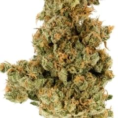 Grapefruit (topshelf)