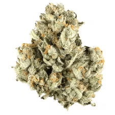 Pink Rozay (Indoor Premium)