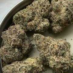 Indoor Ice cream gelato