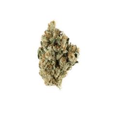 Love Potion (EXOTIC A+)