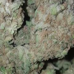 Critical Mass - High Valley Farms