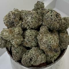 Blue Lobster | Permanent Holiday