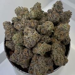 Berry Kimber | Blueprint