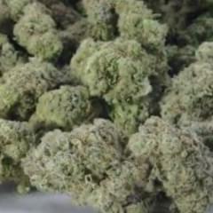 Blue Hawaiian (top shelf)