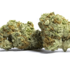 Green Goddess (Indoor Premium)