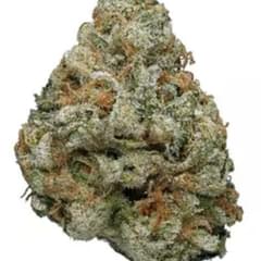 Candyland (TOP SHELF)