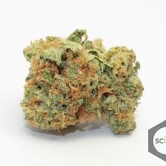 Bob Marley's Lamb Breath